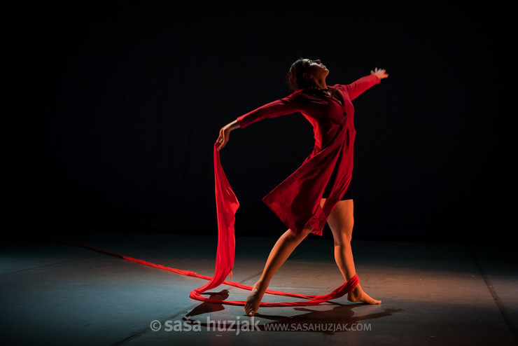 Gibljive podobe večnosti - letna plesna produkcija Plesne izbe Maribor <em>Photo: © Saša Huzjak</em>