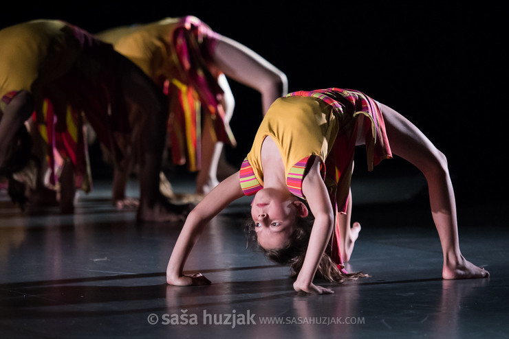 Gibljive podobe večnosti - letna plesna produkcija Plesne izbe Maribor @ SNG Maribor, Velika dvorana, Maribor (Slovenia), 13/06/2017 <em>Photo: © Saša Huzjak</em>