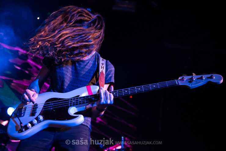 Tilen Prašnikar (Koala Voice) @ Cvetličarna, Ljubljana (Slovenia), 26/10/2017 <em>Photo: © Saša Huzjak</em>