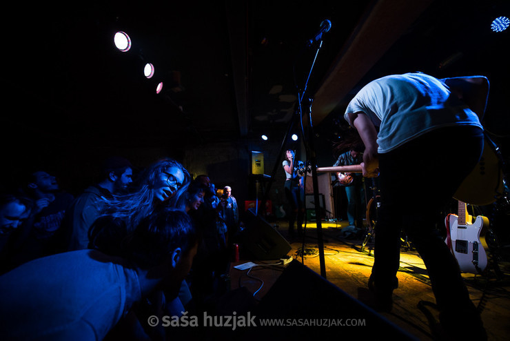 Koala Voice fans @ MC Pekarna, Maribor (Slovenia), 03/11/2017 <em>Photo: © Saša Huzjak</em>