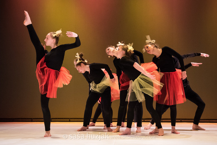 Kosovirija - Zimska plesna predstava Plesne izbe Maribor @ Lutkovno gledališče Maribor, Maribor (Slovenia), 12/01/2018 <em>Photo: © Saša Huzjak</em>