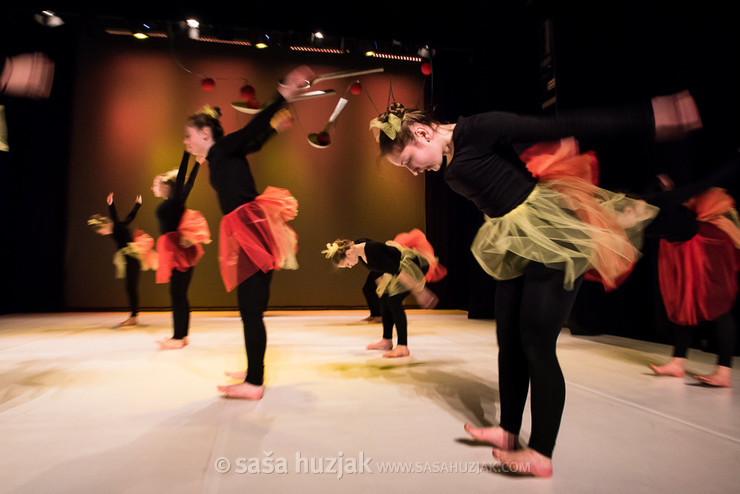 Kosovirija - Zimska plesna predstava Plesne izbe Maribor @ Lutkovno gledališče Maribor, Maribor (Slovenia), 12/01/2018 <em>Photo: © Saša Huzjak</em>