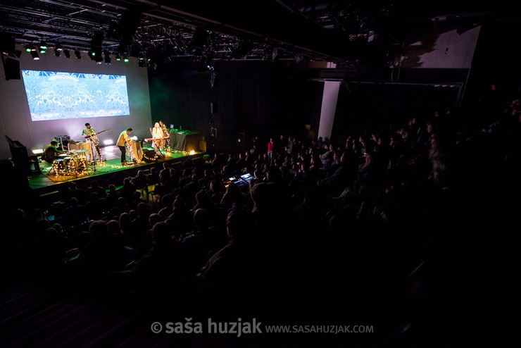 Tolstoys @ MENT Ljubljana, Ljubljana (Slovenia), 31/01 > 02/02/2018 <em>Photo: © Saša Huzjak</em>