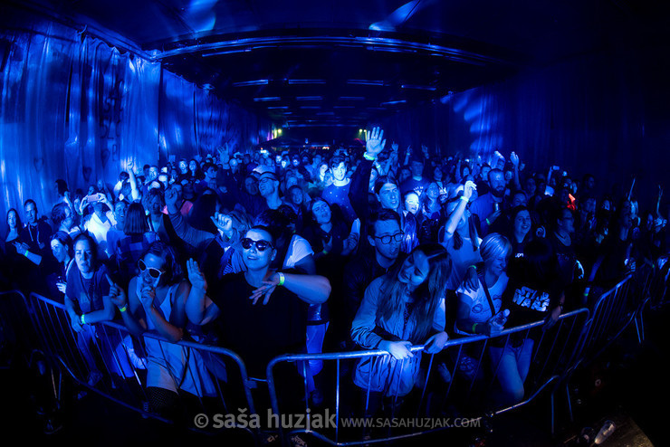 Dan D fans @ Dan Ljubezni, Slovenska Bistrica (Slovenia), 26/05/2018 <em>Photo: © Saša Huzjak</em>