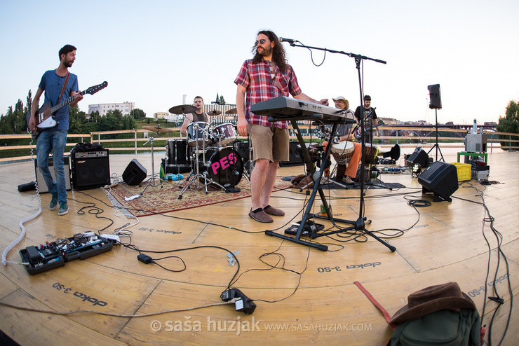 Stari pes @ Plavajoči oder na Dravi (Floating stage on river Drava), Maribor (Slovenia), 28/07/2018 <em>Photo: © Saša Huzjak</em>