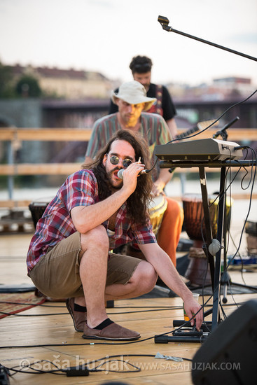 Stari pes @ Plavajoči oder na Dravi (Floating stage on river Drava), Maribor (Slovenia), 28/07/2018 <em>Photo: © Saša Huzjak</em>