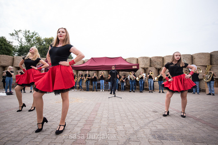 Wood & Brass Band @ Human Mosaic festival, Goleniów (Poland), 29/08 > 01/09/2018 <em>Photo: © Saša Huzjak</em>