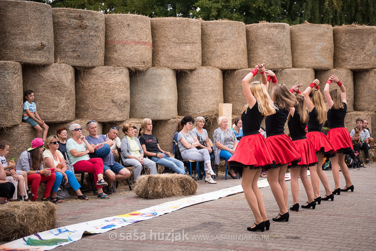 Wood & Brass Band @ Human Mosaic festival, Goleniów (Poland), 29/08 > 01/09/2018 <em>Photo: © Saša Huzjak</em>