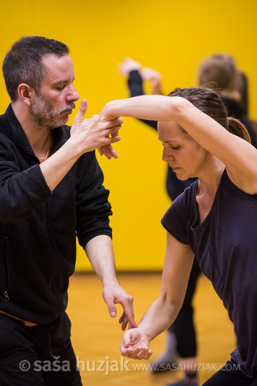 Workshop CI (Contact Improvisation) - Milan Kozánek @ Zimska plesna šola / Winter dance school, Maribor (Slovenia), 22/02 > 25/02/2019 <em>Photo: © Saša Huzjak</em>