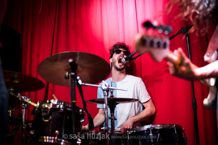 Miha Prašnikar (Koala Voice) @ Rock Caffe, Kostajnica (Bosnia and Herzegovina), 28/03/2019 <em>Photo: © Saša Huzjak</em>