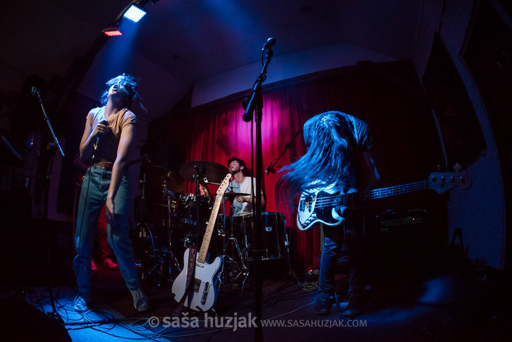 Koala Voice @ Rock Caffe, Kostajnica (Bosnia and Herzegovina), 28/03/2019 <em>Photo: © Saša Huzjak</em>