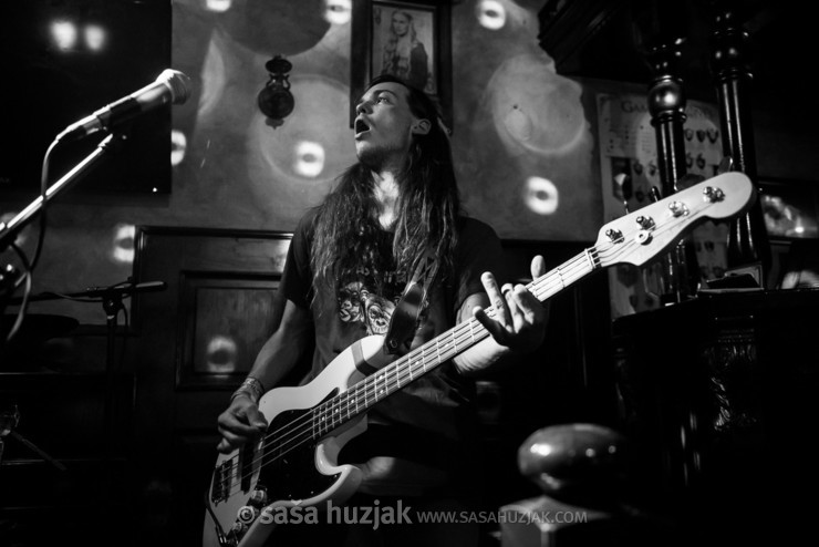 Tilen Prašnikar (Koala Voice) @ River Pub, Rijeka (Croatia), 19/04/2019 <em>Photo: © Saša Huzjak</em>