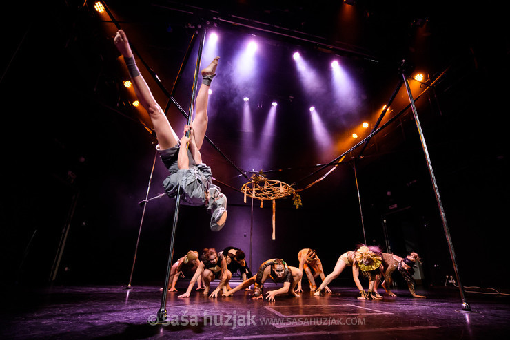 Potujte s Pandoro - Pandorina skrinjica 2019 @ Narodni dom Maribor, Dvorana generala Maistra, Maribor (Slovenia), 25/05/2019 <em>Photo: © Saša Huzjak</em>