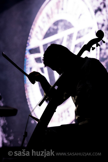 Matej Milošev, guest on cello for Parni Valjak @ Tvrđava sv. Mihovila, Šibenik (Croatia), 2019 <em>Photo: © Saša Huzjak</em>