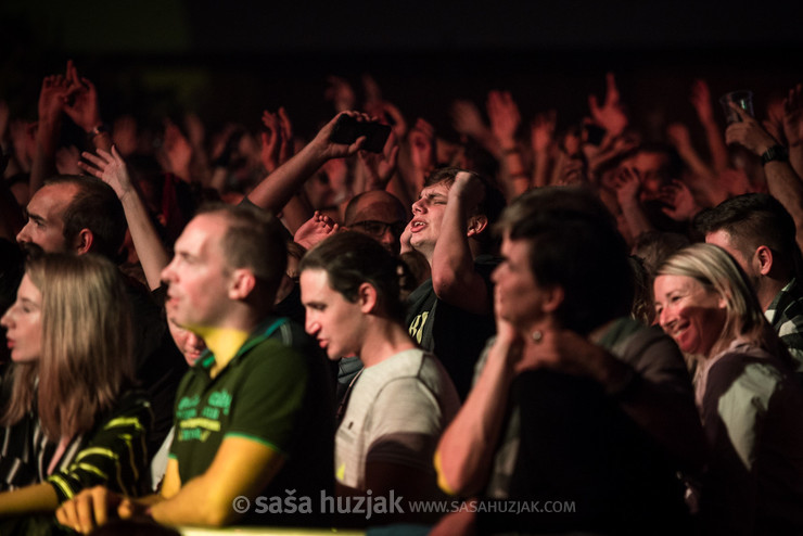 Parni Valjak fans @ Dvorana Mladosti, Rijeka (Croatia), 11/10/2019 <em>Photo: © Saša Huzjak</em>