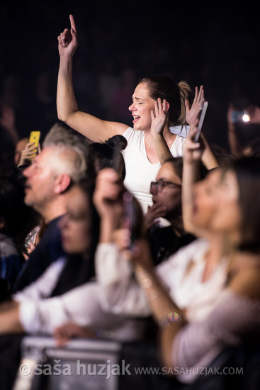 Parni Valjak fans @ Dvorana Mladosti, Rijeka (Croatia), 11/10/2019 <em>Photo: © Saša Huzjak</em>