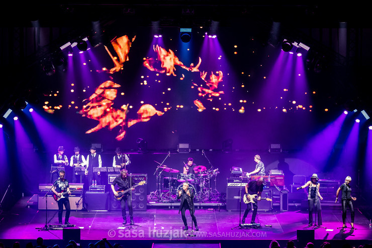 Parni Valjak @ Dvorana Mladosti, Rijeka (Croatia), 11/10/2019 <em>Photo: © Saša Huzjak</em>