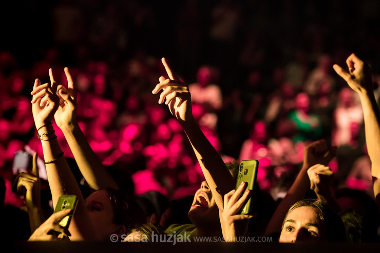 Parni Valjak fans @ Spaladium Arena, Split (Croatia), 2019 <em>Photo: © Saša Huzjak</em>