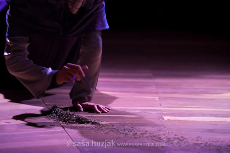 Anamaria Klajnšček: ONA (SHE) @ Festival Platforma, Maribor (Slovenia), 28/08 > 31/08/2024 <em>Photo: © Saša Huzjak</em>
