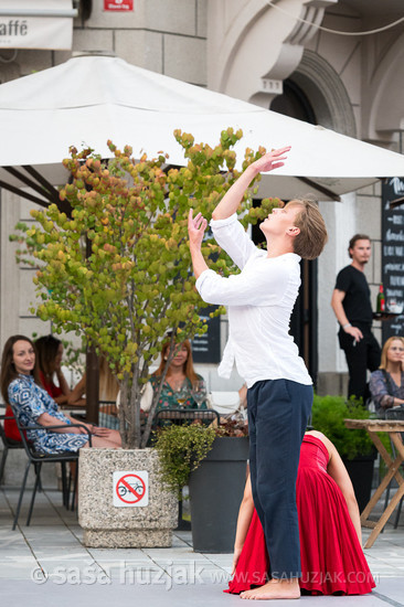 DSPS: 20 metrov v dolžino, devet metrov v širino in štiri metre v višino @ Festival Platforma, Maribor (Slovenia), 28/08 > 31/08/2024 <em>Photo: © Saša Huzjak</em>