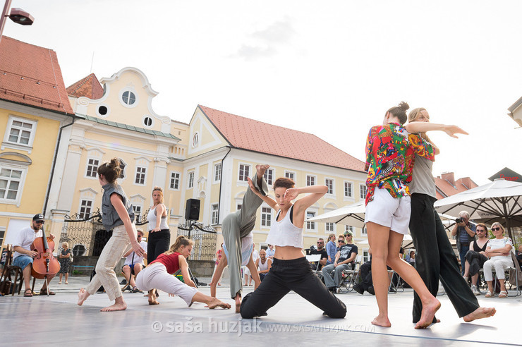 DSPS: 20 metrov v dolžino, devet metrov v širino in štiri metre v višino @ Festival Platforma, Maribor (Slovenia), 28/08 > 31/08/2024 <em>Photo: © Saša Huzjak</em>