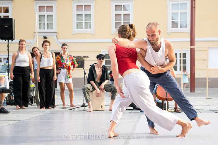 DSPS: 20 metrov v dolžino, devet metrov v širino in štiri metre v višino @ Festival Platforma, Maribor (Slovenia), 28/08 > 31/08/2024 <em>Photo: © Saša Huzjak</em>