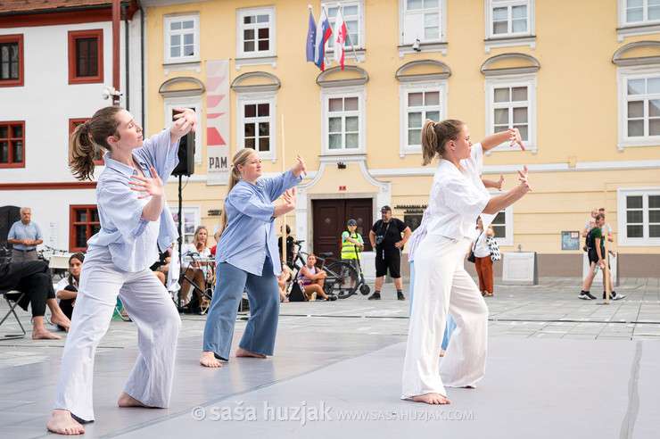 DSPS: 20 metrov v dolžino, devet metrov v širino in štiri metre v višino @ Festival Platforma, Maribor (Slovenia), 28/08 > 31/08/2024 <em>Photo: © Saša Huzjak</em>