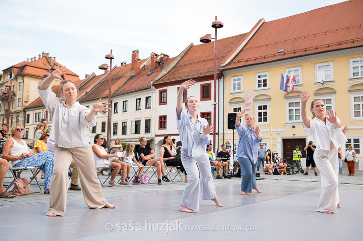 DSPS: 20 metrov v dolžino, devet metrov v širino in štiri metre v višino @ Festival Platforma, Maribor (Slovenia), 28/08 > 31/08/2024 <em>Photo: © Saša Huzjak</em>