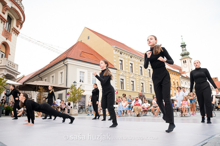 DSPS: 20 metrov v dolžino, devet metrov v širino in štiri metre v višino @ Festival Platforma, Maribor (Slovenia), 28/08 > 31/08/2024 <em>Photo: © Saša Huzjak</em>