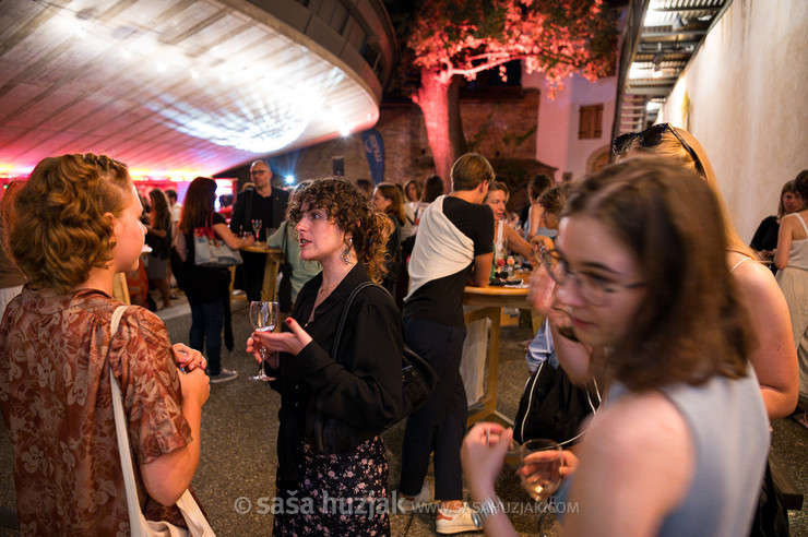 Festival Platforma 2024 opening after party @ Festival Platforma, Maribor (Slovenia), 28/08 > 31/08/2024 <em>Photo: © Saša Huzjak</em>