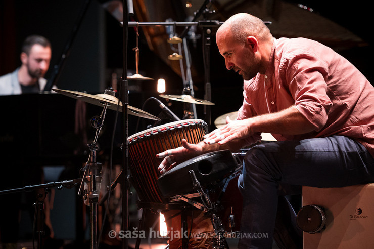 Damir Mazrek (Harmelogic) @ Gledališka in koncertna dvorana Lendava, Lendava (Slovenia), 25/11/2024 <em>Photo: © Saša Huzjak</em>