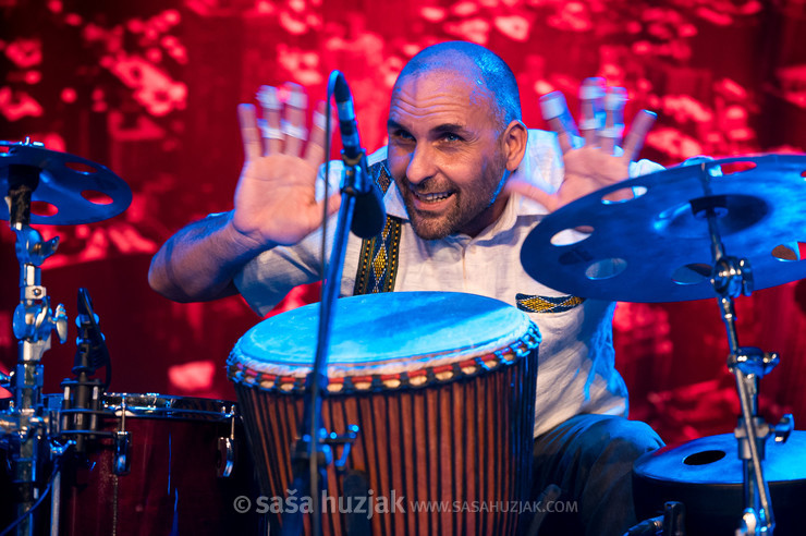 Damir Mazrek (Harmelogic) @ Narodni dom Maribor, Mali oder, Maribor (Slovenia), 26/11/2024 <em>Photo: © Saša Huzjak</em>