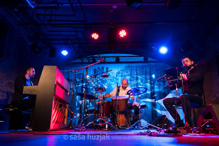 Harmelogic feat. Zhivko Vasilev @ Narodni dom Maribor, Mali oder, Maribor (Slovenia), 26/11/2024 <em>Photo: © Saša Huzjak</em>