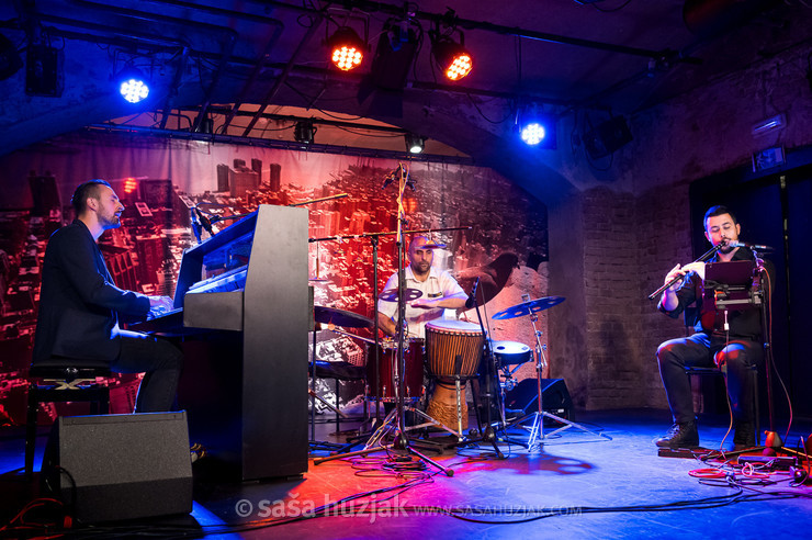 Harmelogic feat. Zhivko Vasilev <em>Photo: © Saša Huzjak</em>
