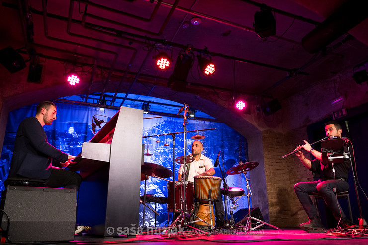 Harmelogic feat. Zhivko Vasilev @ Narodni dom Maribor, Mali oder, Maribor (Slovenia), 26/11/2024 <em>Photo: © Saša Huzjak</em>