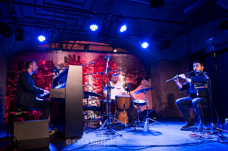 Harmelogic feat. Zhivko Vasilev @ Narodni dom Maribor, Mali oder, Maribor (Slovenia), 26/11/2024 <em>Photo: © Saša Huzjak</em>