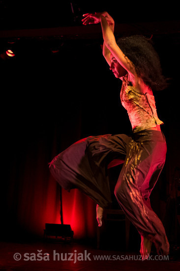 Temporalnost drugih @ GT22, Intimni oder, Maribor (Slovenia), 09/12/2024 <em>Photo: © Saša Huzjak</em>