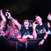 Suede fans @ Bažant Pohoda festival, Trenčín (Slovakia), 2014 <em>Photo: © Saša Huzjak</em>