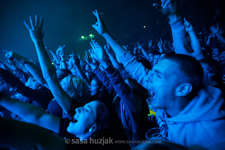 Pips, Chips & Videoclips fans @ Dom sportova, Zagreb (Croatia), 2014 <em>Photo: © Saša Huzjak</em>