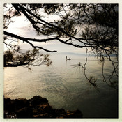 Fishermen @ Malinska, Krk, Croatia, 2014 <em>Photo: © Saša Huzjak</em>