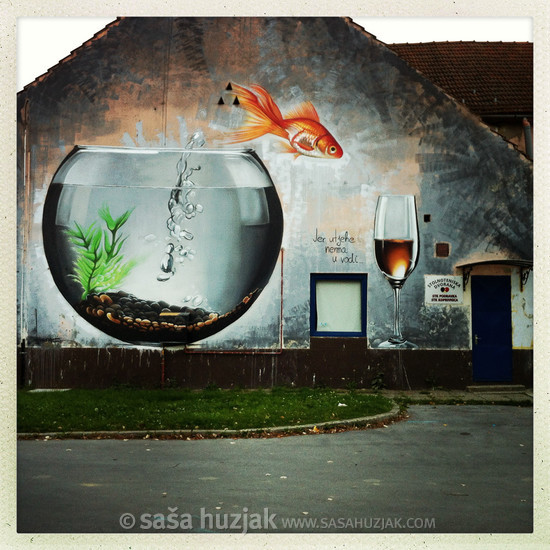 "Because there is no comfort in water" (Jer utjehe nema u vodi) graffiti art @ Koprivnica, Croatia, 2014 <em>Photo: © Saša Huzjak</em>
