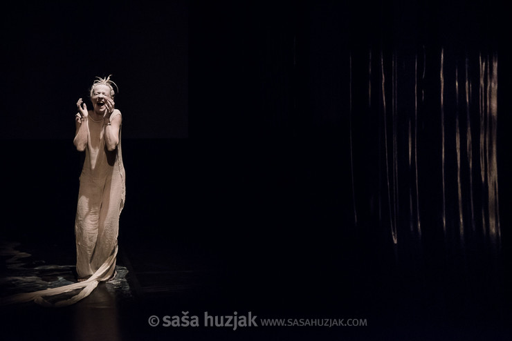 Tanja Zgonc in Tulkudream @ Festival Performa Platforma, Maribor (Slovenia), 2016 <em>Photo: © Saša Huzjak</em>