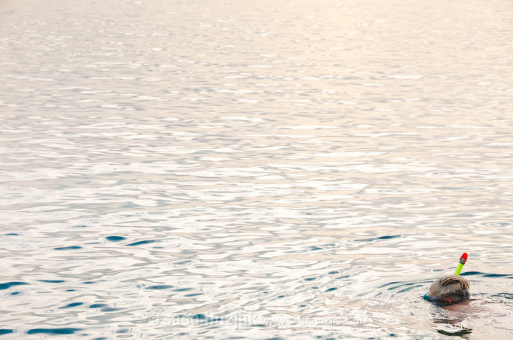 Snorkeler @ Togean Islands, Sulawesi, Indonesia, 2012  <em>Photo: © Saša Huzjak</em>