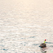 Snorkeler @ Togean Islands, Sulawesi, Indonesia, 2012  <em>Photo: © Saša Huzjak</em>