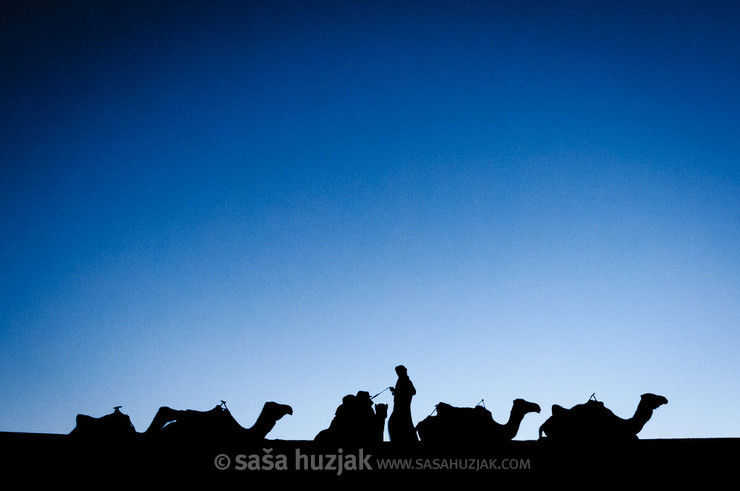 Putting the camels to sleep @ Erg Chebbi desert, Morocco, 2010 <em>Photo: © Saša Huzjak</em>