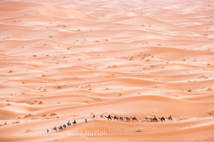 Desert caravan @ Erg Chebbi desert, Morocco, 2010 <em>Photo: © Saša Huzjak</em>