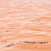 Desert caravan @ Erg Chebbi desert, Morocco, 2010 <em>Photo: © Saša Huzjak</em>