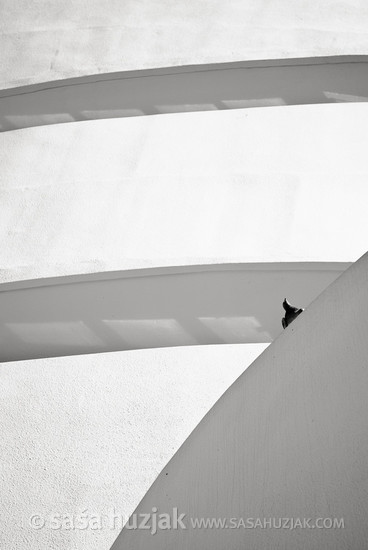 Guggenheim Museum #3 @ New York City, USA, 2010 <em>Photo: © Saša Huzjak</em>