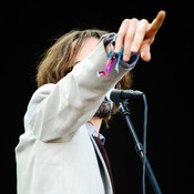 Jarvis Cocker @ FM4 Frequency festival, St. Pölten (Austria), 2009 <em>Photo: © Saša Huzjak</em>