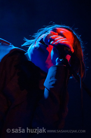 Blixa Bargeld (ANBB) @ Kino Šiška, Ljubljana (Slovenia), 2010 <em>Photo: © Saša Huzjak</em>